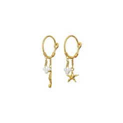 Maanesten Momi Earrings Øredobber Gull