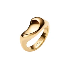 Maria Black Saddle Ring Ring Gull