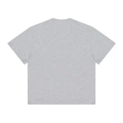 PAL International Pre Game 2025 T-Shirt T-shirt Lysegrå